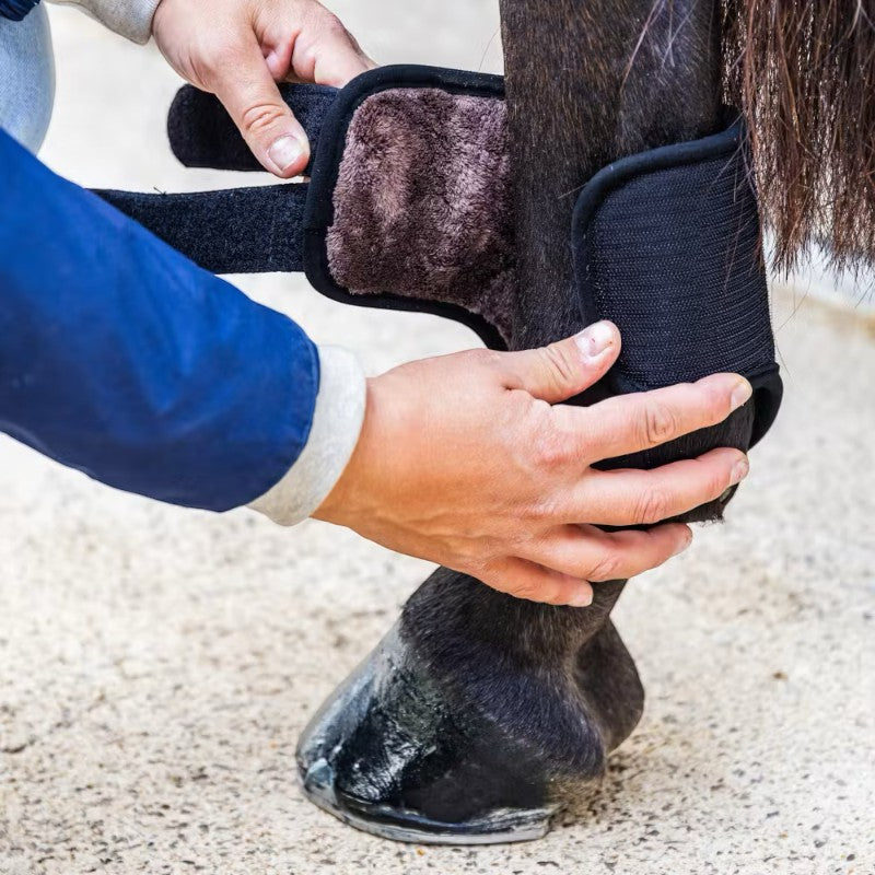 Kentucky Horsewear - Short Hind Cross Country Boots 3D Air Flow Skin Friendly Black | - Ohlala