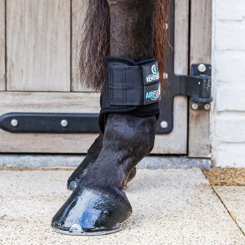 Kentucky Horsewear - 3D Air Flow Short Hind Cross-Country Boots Black | - Ohlala