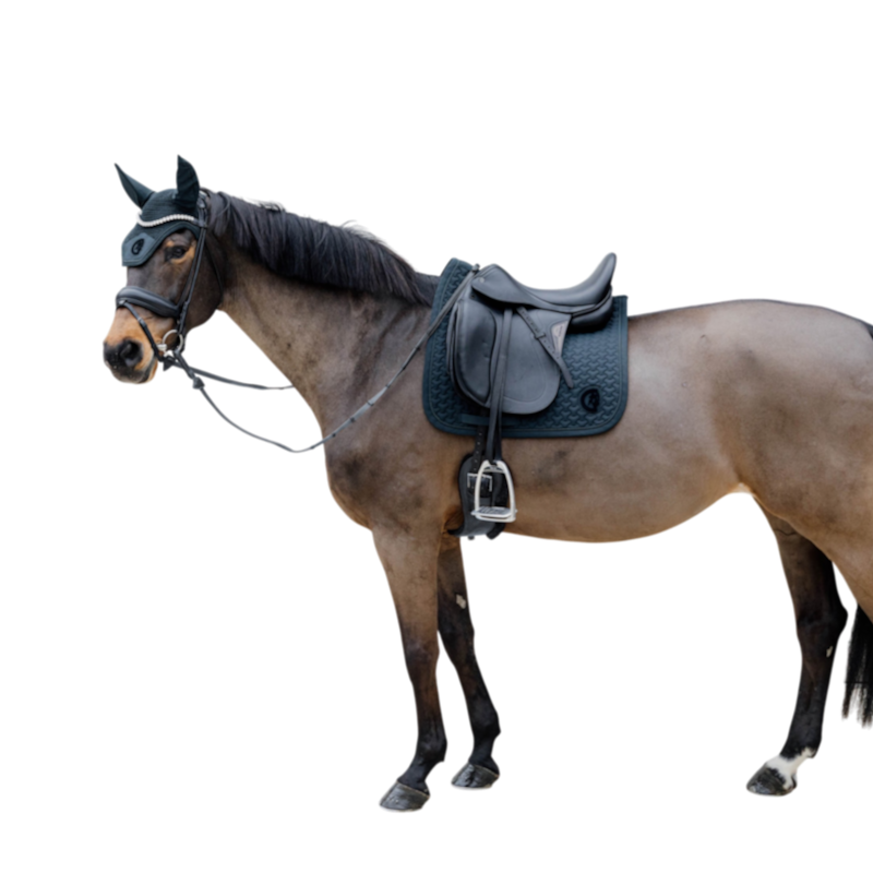 Kentucky Horsewear - Sudadero de doma 3D logo verde abeto