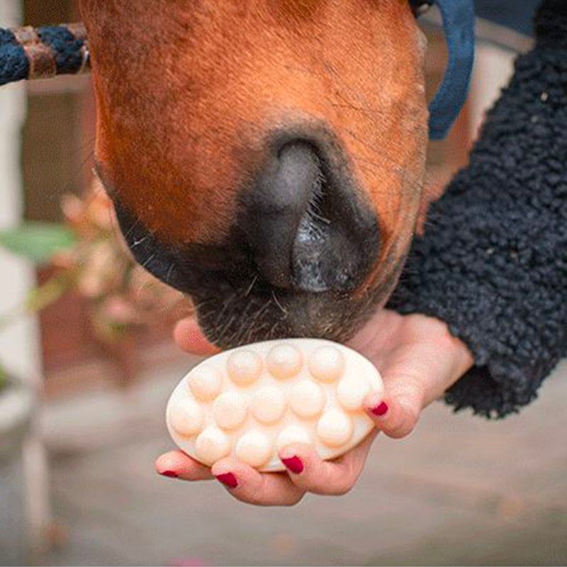 La Douche A Maouche - Solid shampoo for horses | - Ohlala