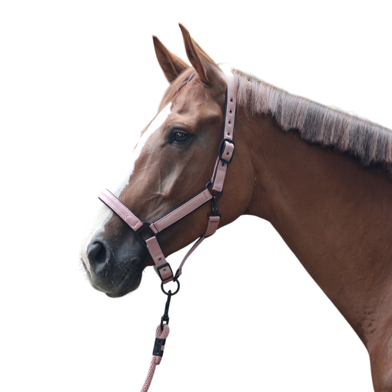 Lami-cell - Charming Dusty Rose Halter | - Ohlala