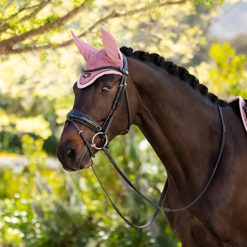Lemieux - Bonnet pour chevaux Loire peony