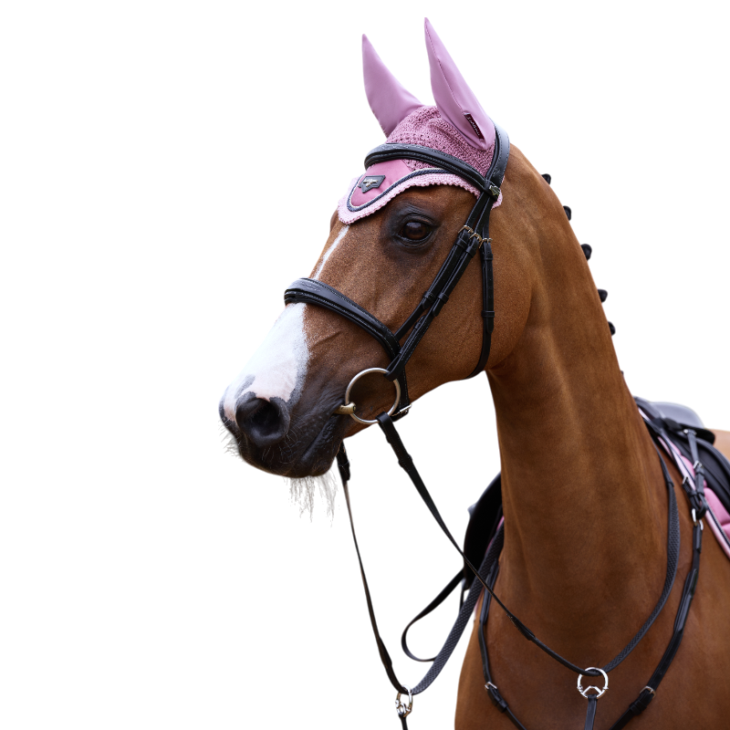 Lemieux - Bonnet pour chevaux Loire peony