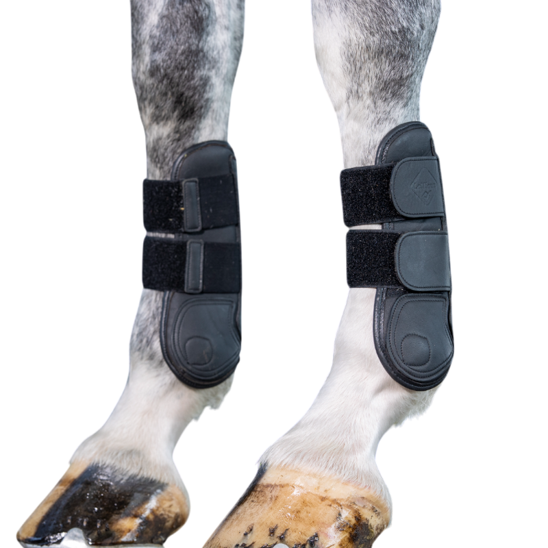 Lemieux - Open gaiters tendons black Capella