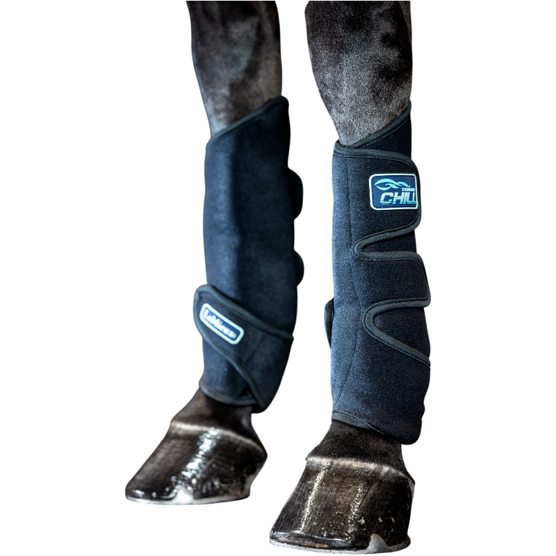 Lemieux - Tendon Chill Boots cooling boots black (x2) | - Ohlala