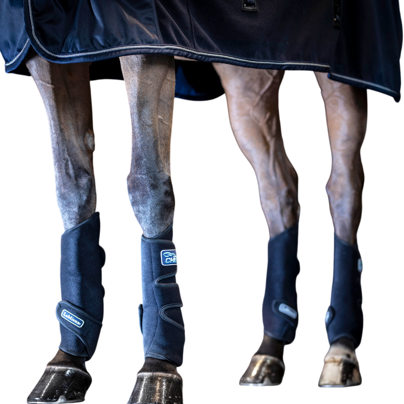 Lemieux - Tendon Chill Boots cooling boots black (x2) | - Ohlala