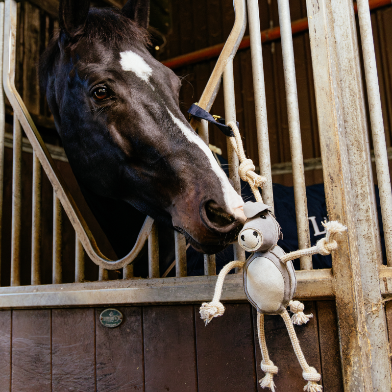 Lemieux - Toy for horses Donkey