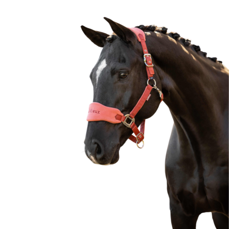 LeMieux - Vogue Russet Halter and Lead Rope