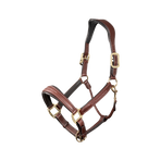 Lemieux - Brown Stitched Horse Headcollar | - Ohlala