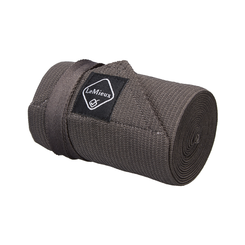 Lemieux - Gray band tail protector