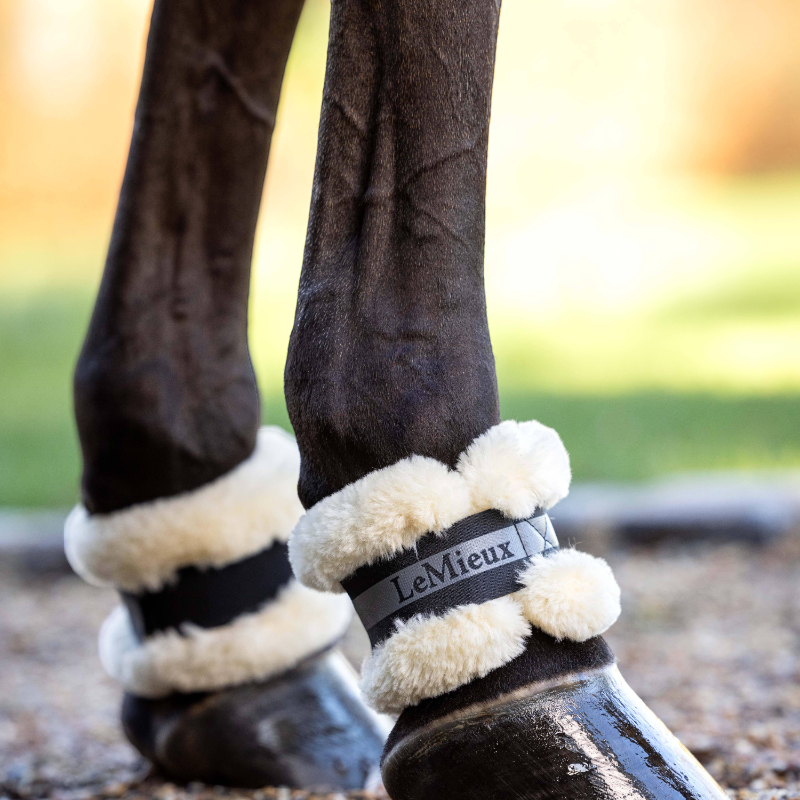 Lemieux - Fleece pastern boots black | - Ohlala