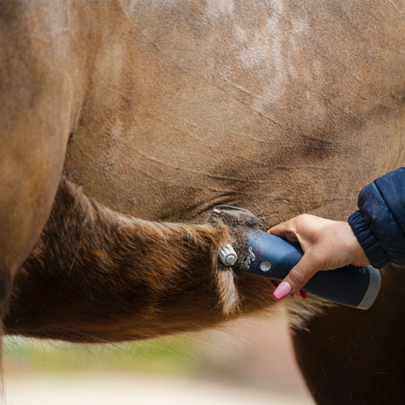 Lister - Eclipse Cordless Horse Clipper | - Ohlala