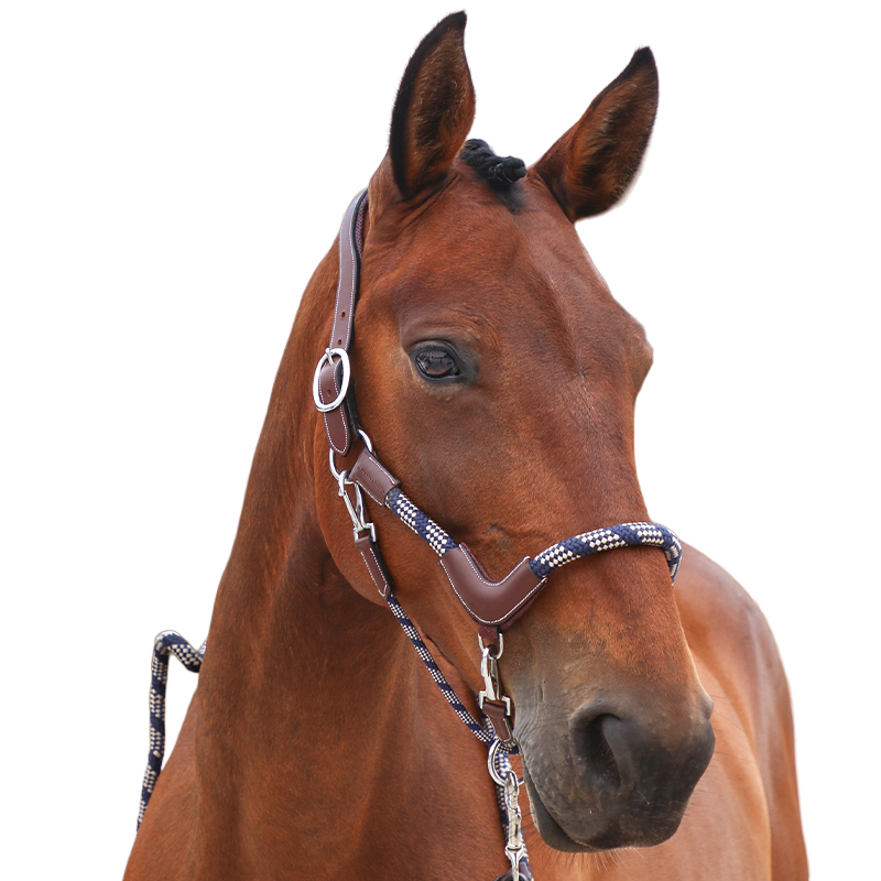 Jump'In - One Travel Horse Halter Hazelnut | - Ohlala