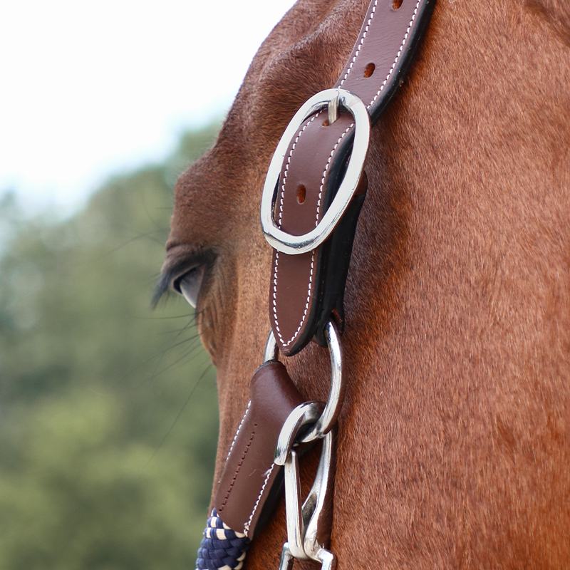 Jump'In - One Travel Horse Halter hazelnut | - Ohlala