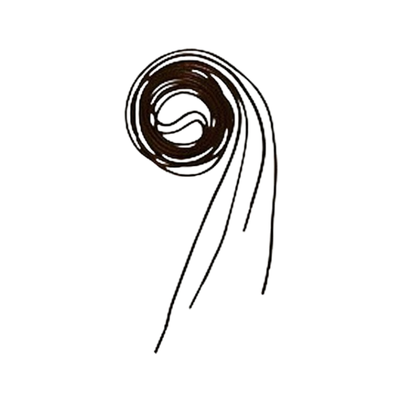 Equithème - Lacets brun | - Ohlala