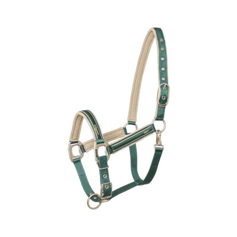 Lami-cell - Licol Elegance vert/ champagne | - Ohlala