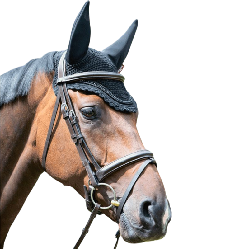 LeMieux - Geräuschdämpfende Fliegenhaube Diamante Acoustic schwarz | - Ohlala