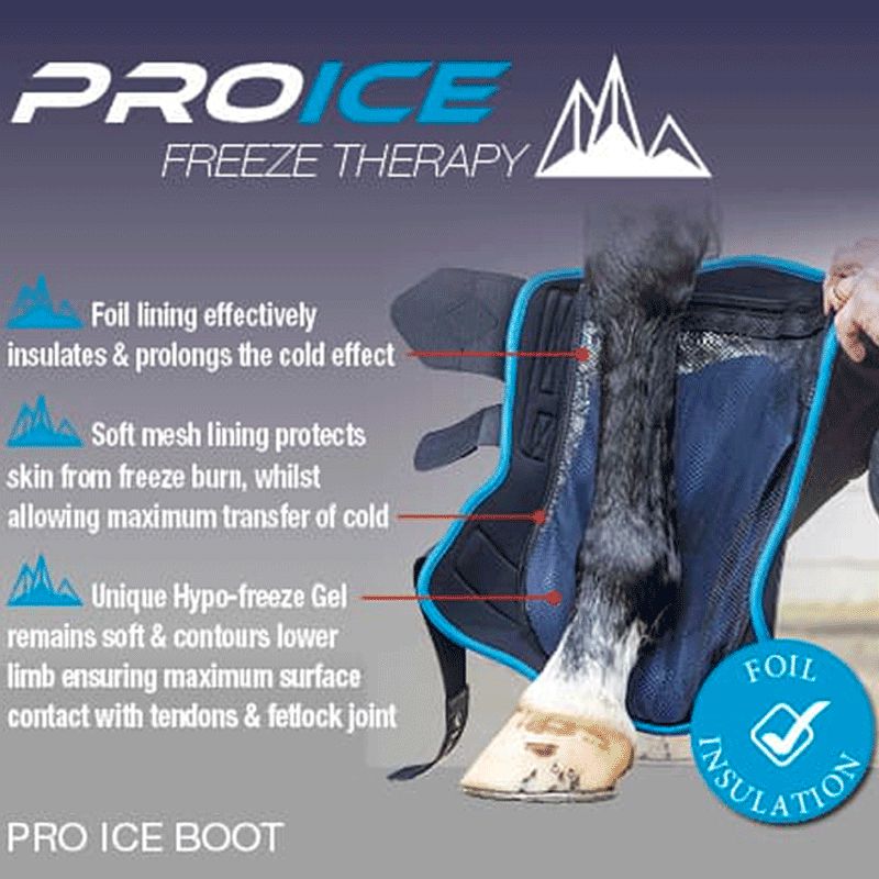 LeMieux - Ghette freddo ProIce Freeze nere | - Ohlala