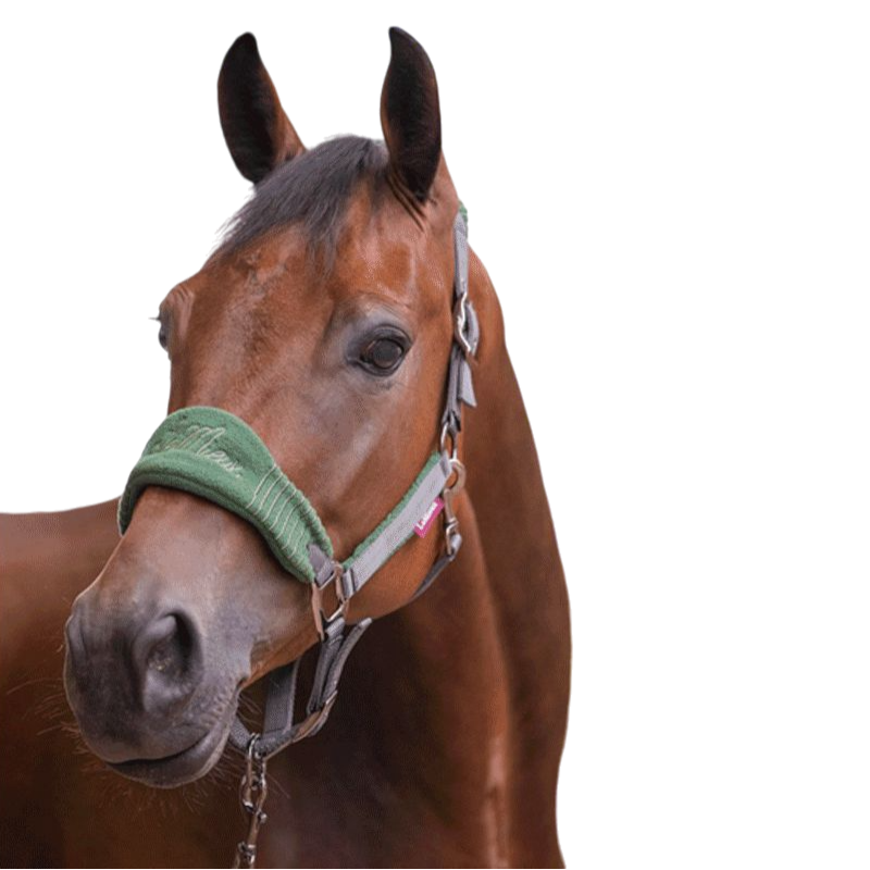 LeMieux - Vogue halter & lead rope set grey/green | - Ohlala