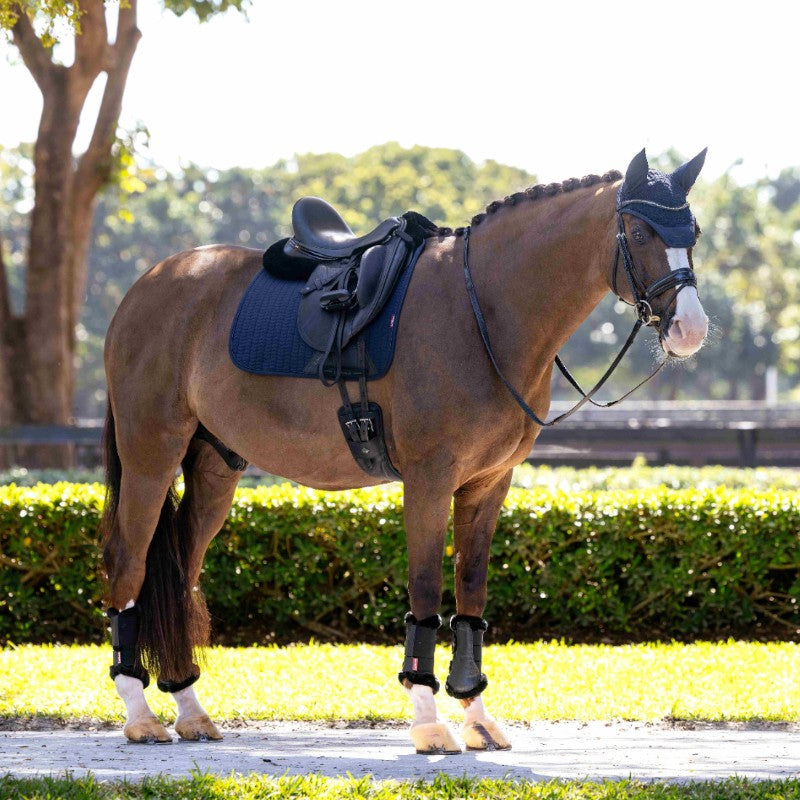 Lemieux - Dressage saddle pad Finesse marine | - Ohlala