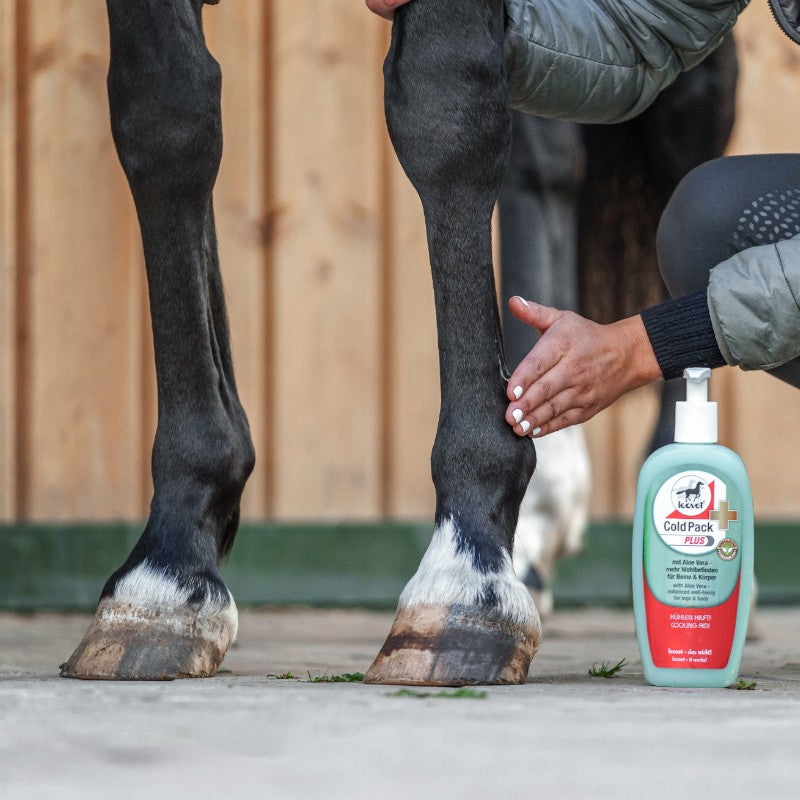 Leovet - Gel rafraîchissant Cold Pack Plus | - Ohlala