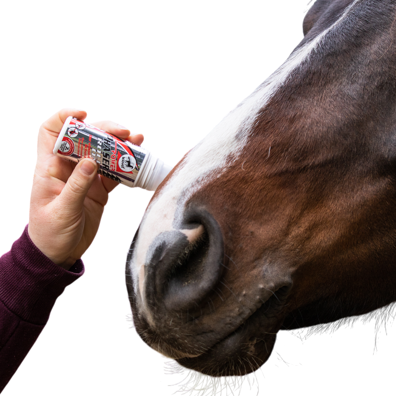 Leovet - Répulsif insectes Power phaser roll'on | - Ohlala