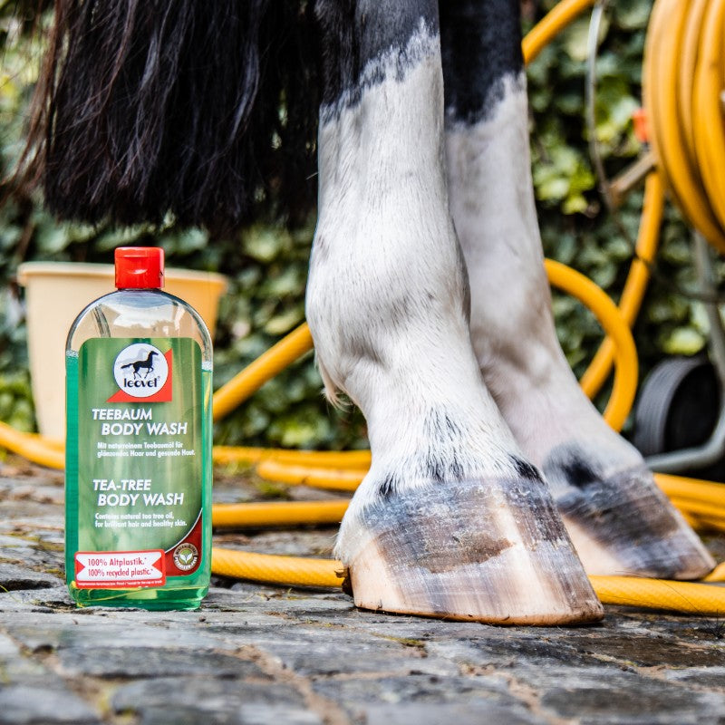 Leovet - Shampoing anti-démangeaisons à l'arbre à thé | - Ohlala