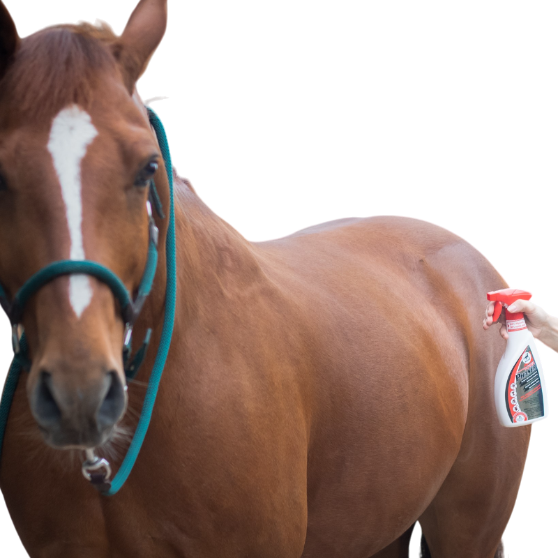 Leovet - Spray répulsif taons et insectes Power phaser | - Ohlala