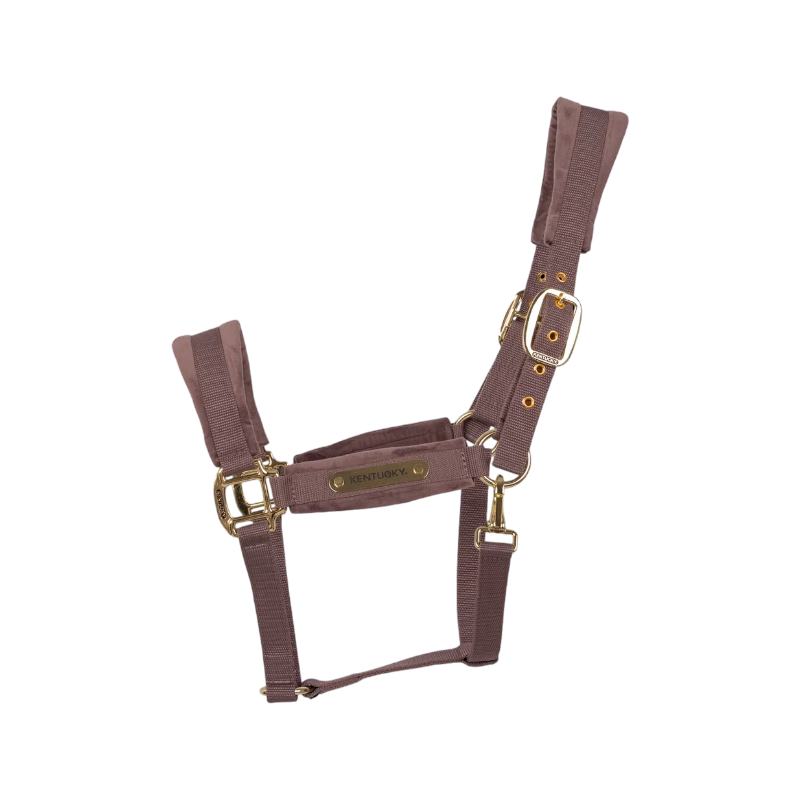 Kentucky Horsewear - Velvet halter light purple | - Ohlala