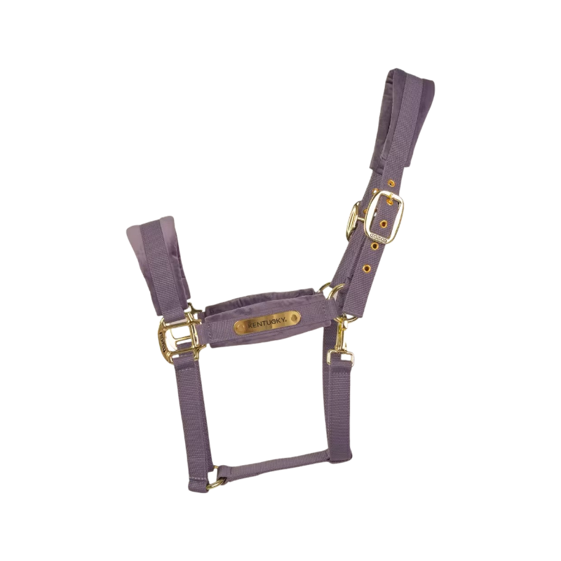 Kentucky Horsewear - Licol Velvet violet | - Ohlala