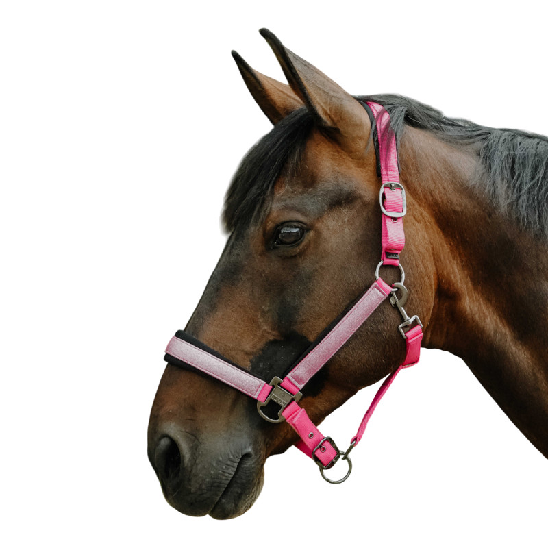 Equithème - Capezza in nylon Glowy rosa/rosa | - Ohlala