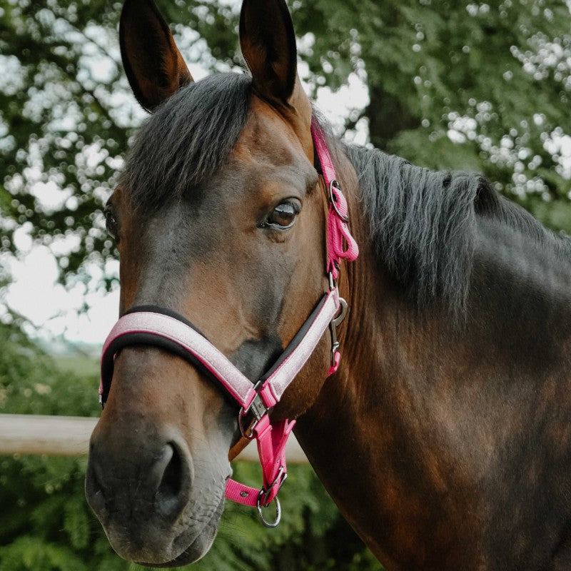 Equithème - Capezza in nylon Glowy rosa/rosa | - Ohlala