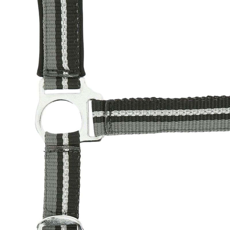 Norton - Shiny halter and lead rope black/ grey/ silver | - Ohlala