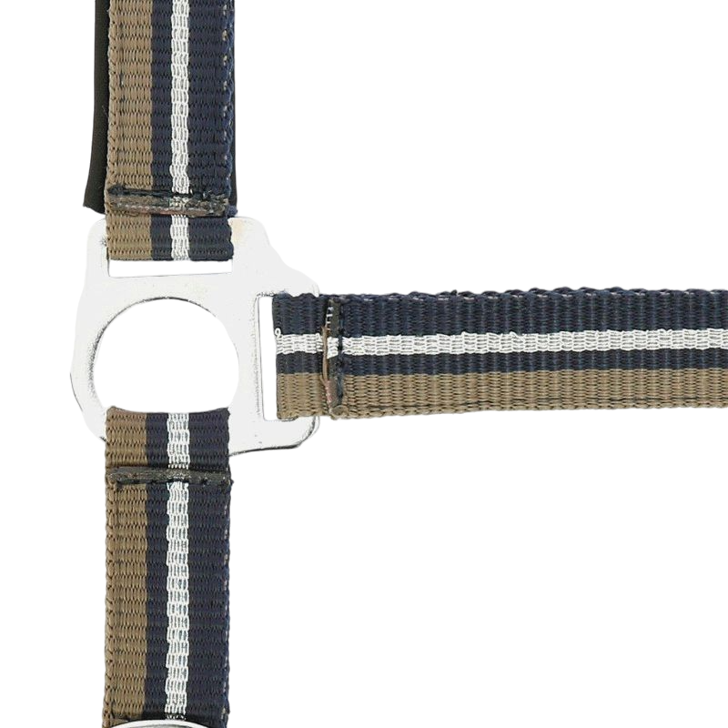 Norton - Halster en leidsel glanzend taupe/ marine/ zilver | - Ohlala