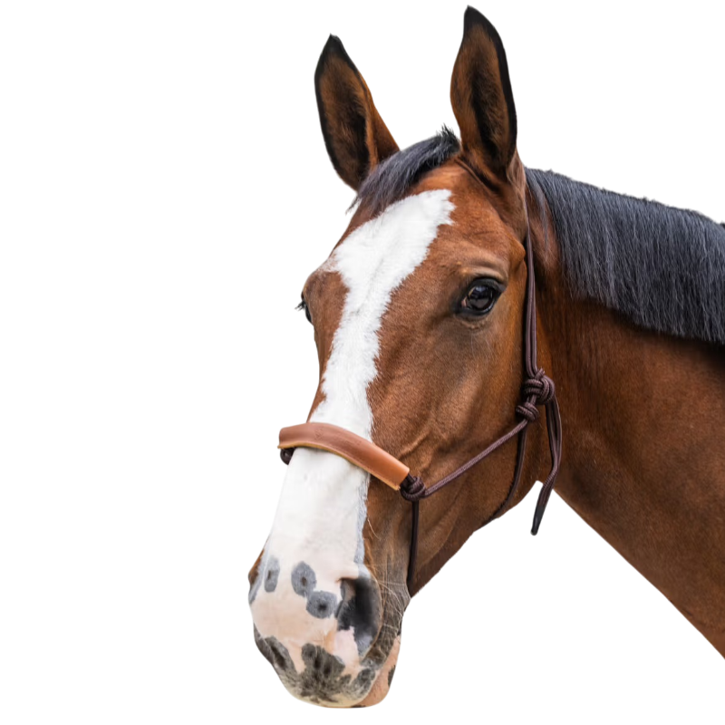 Kentucky Horsewear - Ethologisch halster Touw bruin | - Ohlala