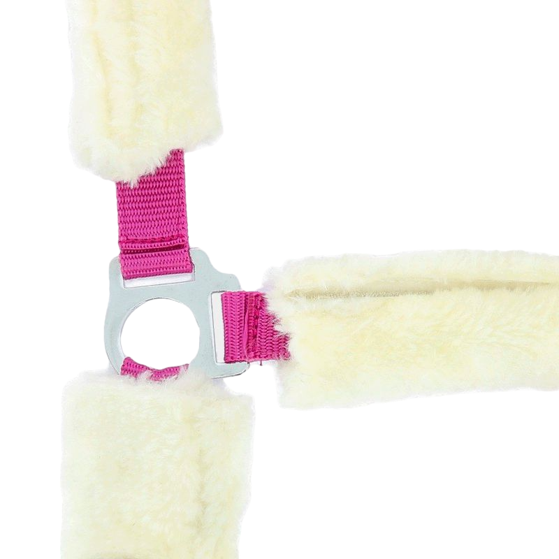 Norton - Licol full mouton synthétique fuchsia/ ecru | - Ohlala