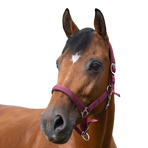 Norton - Licol nylon doublé néoprène bordeaux | - Ohlala