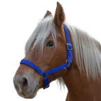Norton - Cabestro para caballo de tiro "PRO" azul real | - Ohlala