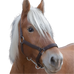 Norton - Draft horse halter "PRO" brown | - Ohlala