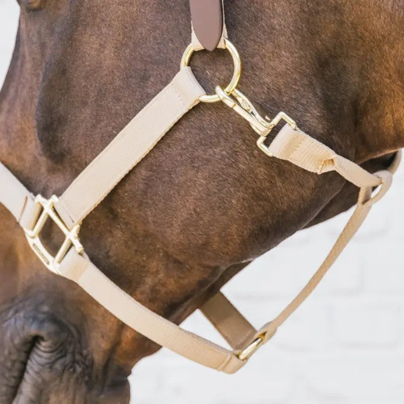 Kentucky Horsewear - Nylon-Halfter Breakaway beige | - Ohlala