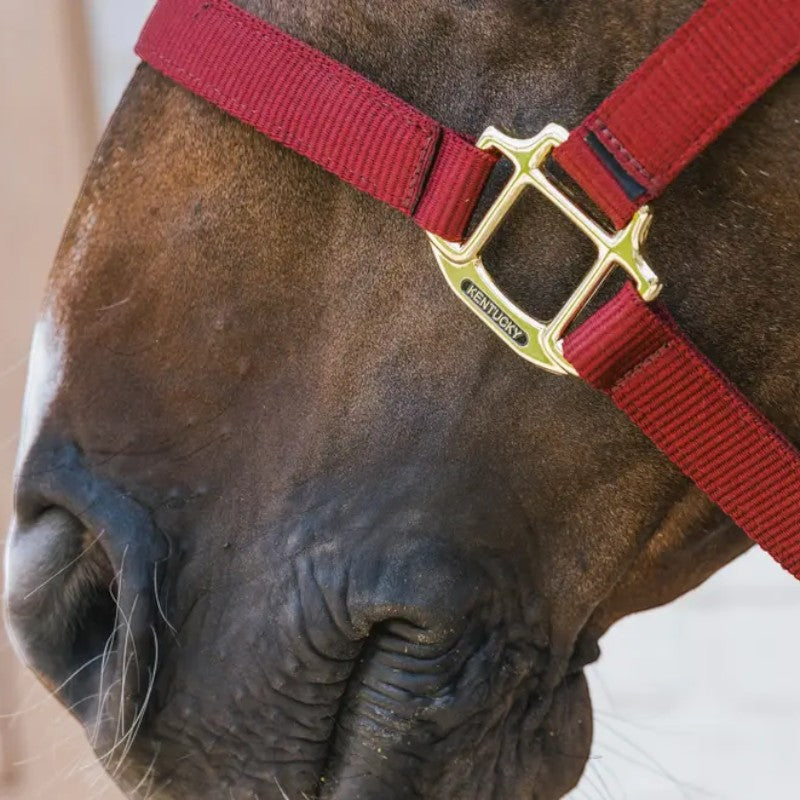 Kentucky Horsewear - Nylon-Halfter Breakaway bordeaux | - Ohlala