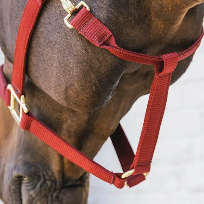 Kentucky Horsewear - Nylon-Halfter Breakaway bordeaux | - Ohlala
