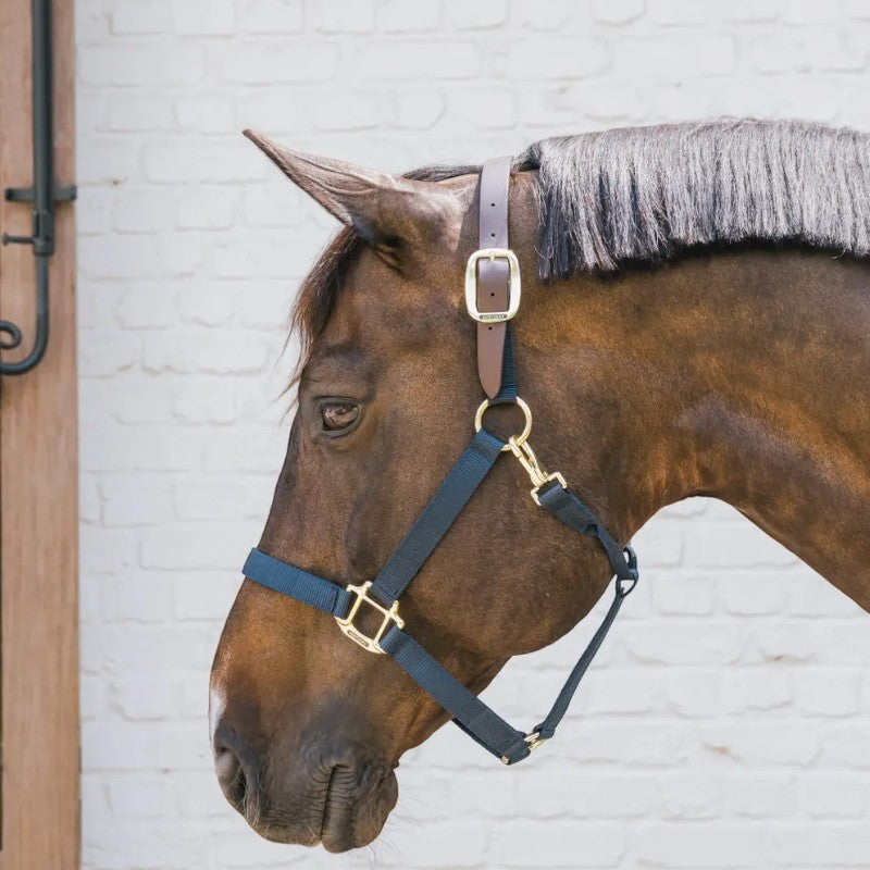 Kentucky Horsewear - Breakaway nylon halter navy | - Ohlala