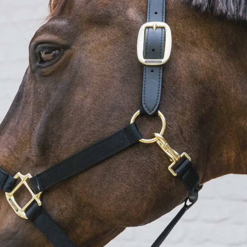 Kentucky Horsewear - Cavezza in nylon Breakaway nero | - Ohlala