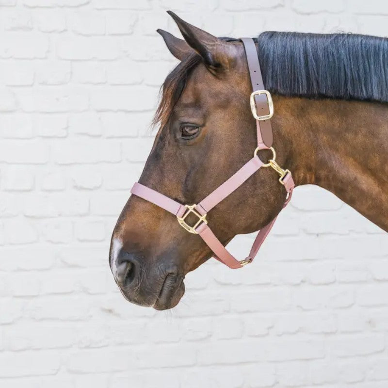 Kentucky Horsewear - Nylon-Halfter Breakaway altrosa | - Ohlala