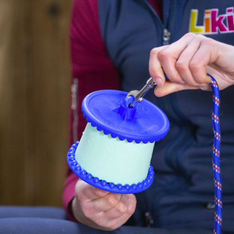 Likit - Unterhaltsamer Salzsteinhalter | - Ohlala