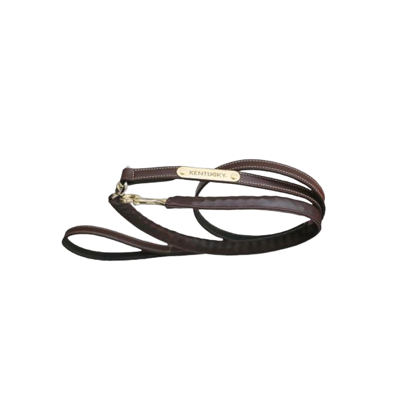 Kentucky Horsewear - Longe de présentation recouverte de cuir | - Ohlala
