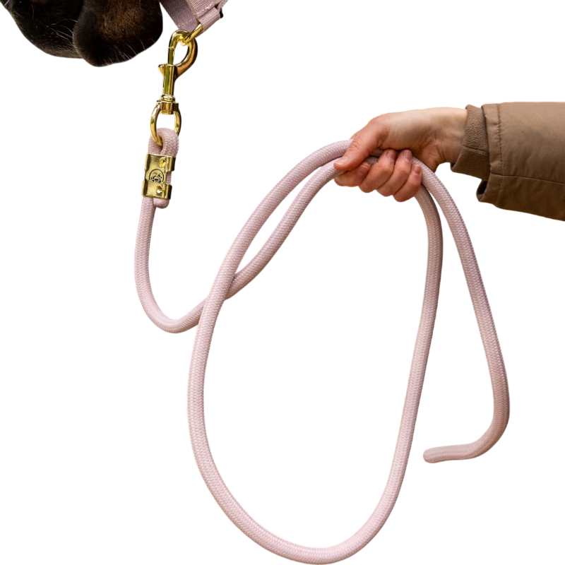 Kentucky Horsewear - Longe Rope Basic soft rose 2m | - Ohlala