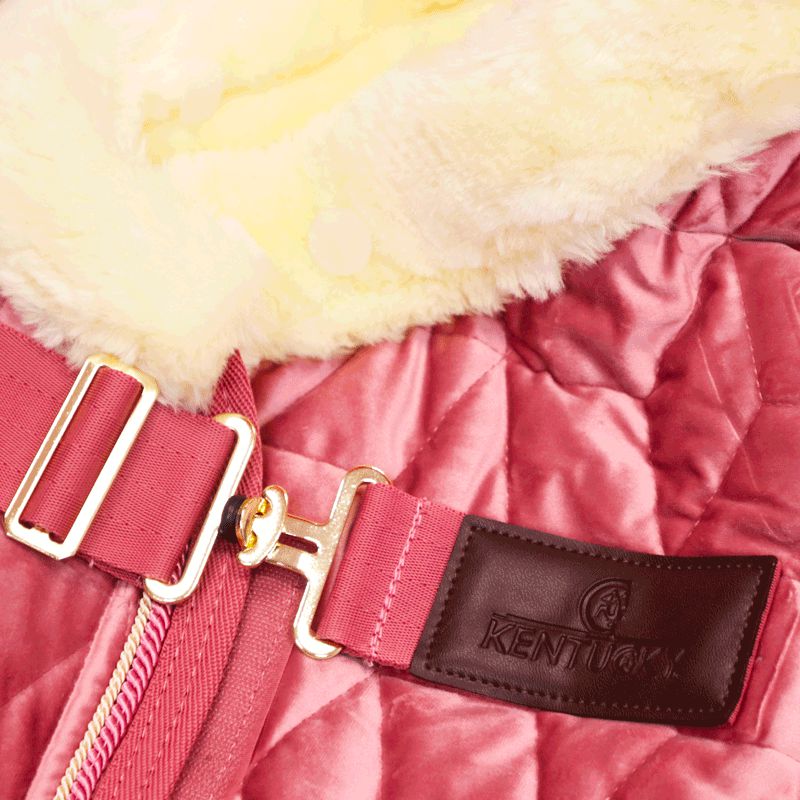 Kentucky Horsewear - Präsentationsdecke Velvet Altrosa 160g für Minis | - Ohlala