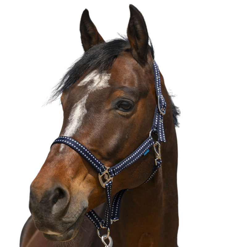 Norton - Grooming Halter navy | - Ohlala